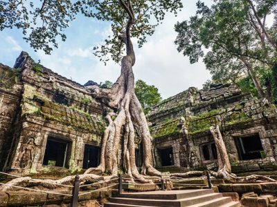 Ta Prohm , Cambodia Trips