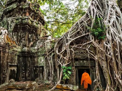 Ta Prohm temples, Trips in Cambodia