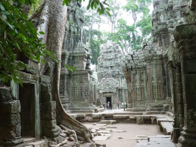 the courtyard of Ta Prohm, Cambodia packages
