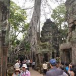 the ruin of Ta Prohm Temple, Cambodia tour