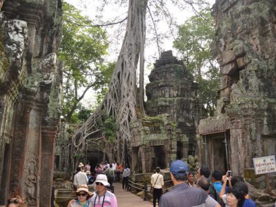 the ruin of Ta Prohm Temple, Cambodia tour