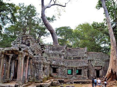 Ta Prohm temple, Cambodia tours packages