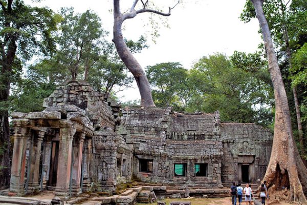 Ta Prohm temple, Cambodia tours packages