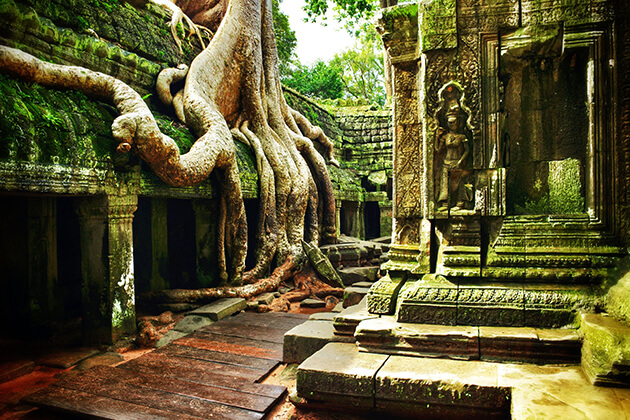 Ta Prohm – Siem Reap, Cambodia - Atlas Obscura