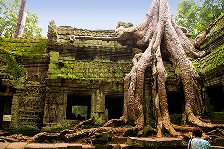 things to do and see in Cambodia, Cambodia tours