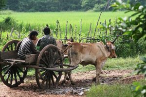 Drop off the Tourist Highways in Cambodia