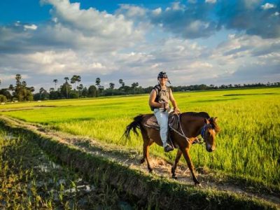 rice paddy, Cambodia Tours