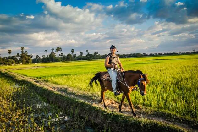 rice paddy, Cambodia Tours