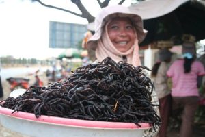Enjoy Tarantula Black Spider – An Amazing Specialty in Cambodia