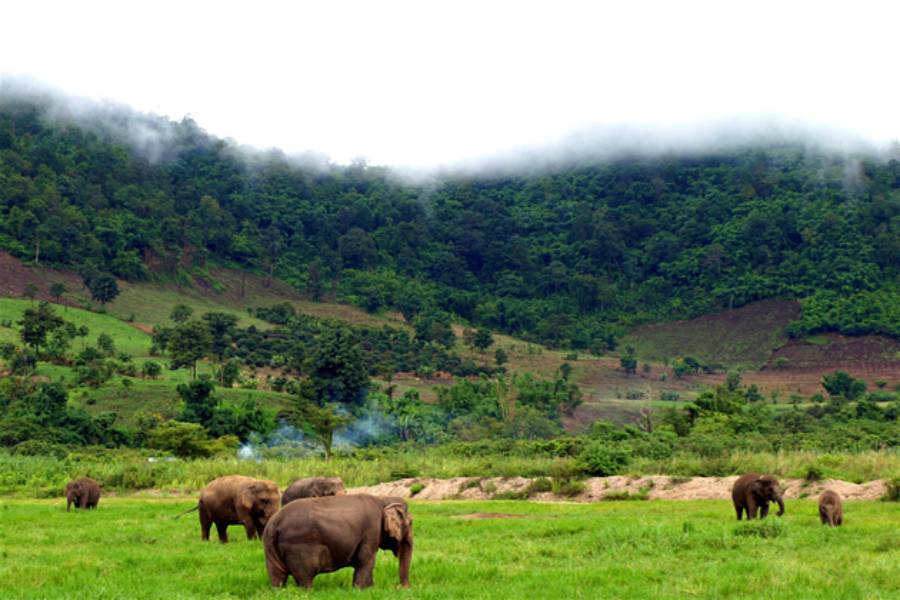 MONDULKIRI Province