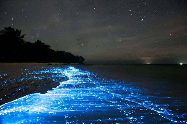 Phosphorescent Planktons in Koh Rong Island, Cambodia Tours 