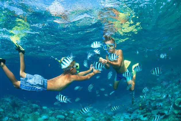 Scuba Dive on Saracen Bay koh rong samloem, Cambodia Vacation Packages 