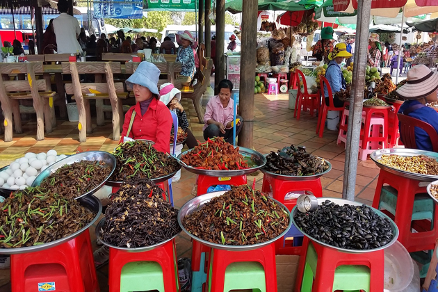 black spider insect market in cambodia
