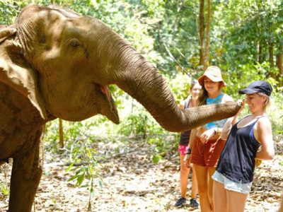 Mondulkiri elephants, Cambodia adventure tours