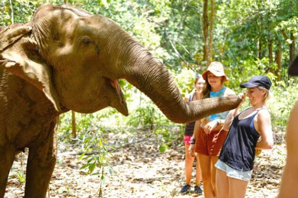Mondulkiri elephants, Cambodia adventure tours