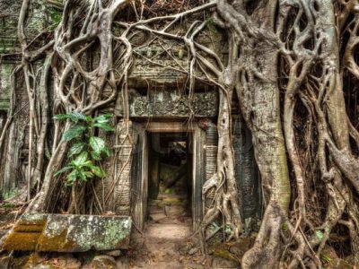 Ta Prom, Cambodia vacation packagesTa Prom, Cambodia vacation packages