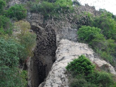 bat cave battambang, Tours in Cambodia