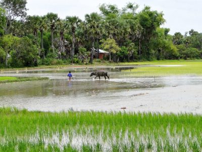 Takeo Cambodia Vacations