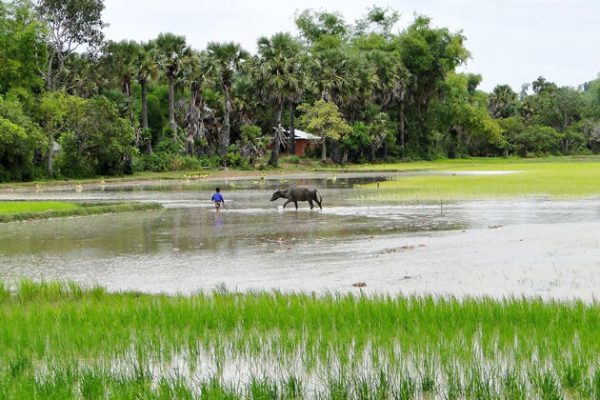 Takeo Cambodia Vacations