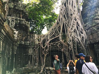 the ruin of Ta Prohm Temple, Siem Reap Food adventure tours