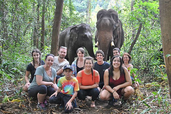 Bunong Elephant, Cambodia Local tours