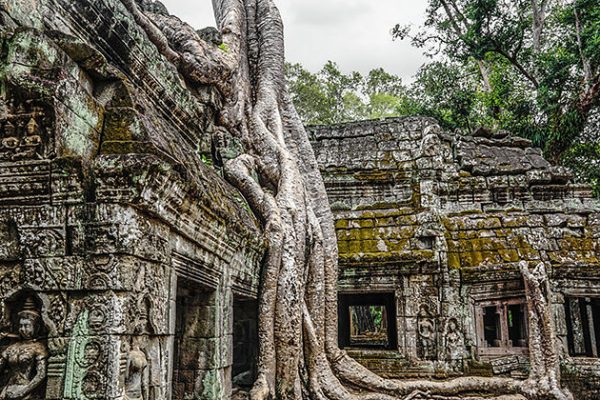 angkor thom cambodia cuisine tour