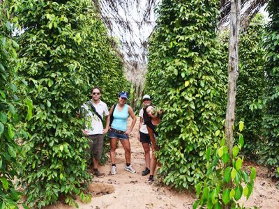 Kampot Pepper, Adventure Cambodia travel vacation