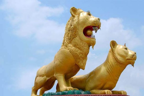 golden lion, Cambodia trips
