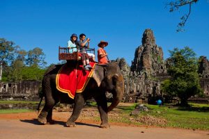 Cambodia will Stop Elephant Rides at Angkor Wat in 2020