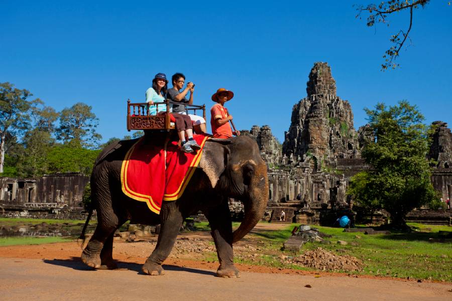 Cambodia will Stop Elephant Rides at Angkor Wat in 2020