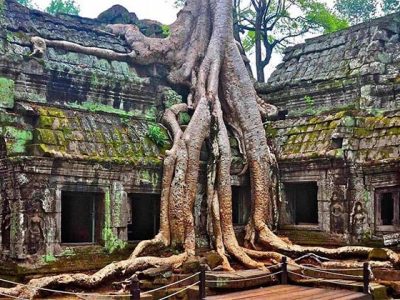 Ta Prohm Temple, Cambodia family trips