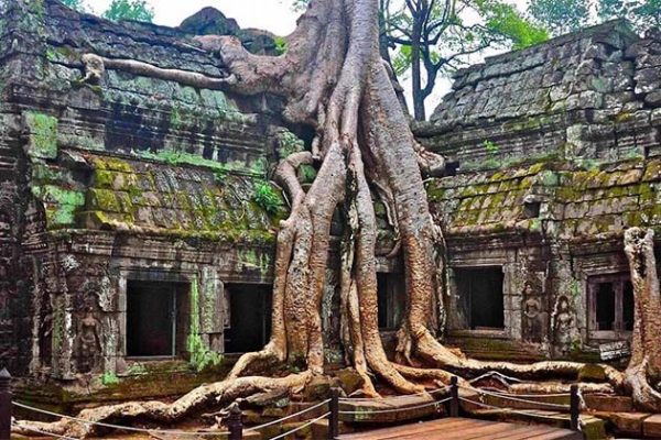 Ta Prohm Temple, Cambodia family trips