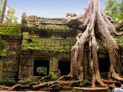 Ta Prohm in Cambodia Laos Tour Packages