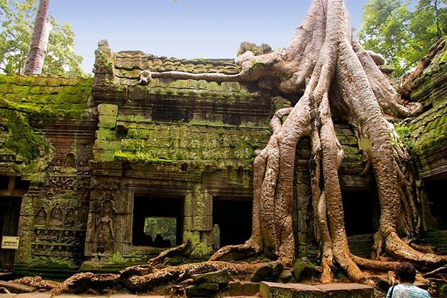 Ta Prohm in Cambodia Laos Tour Packages