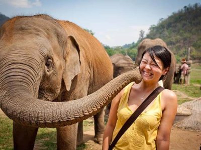 the Elephant Nature Park, Cambodia Thailand vacations