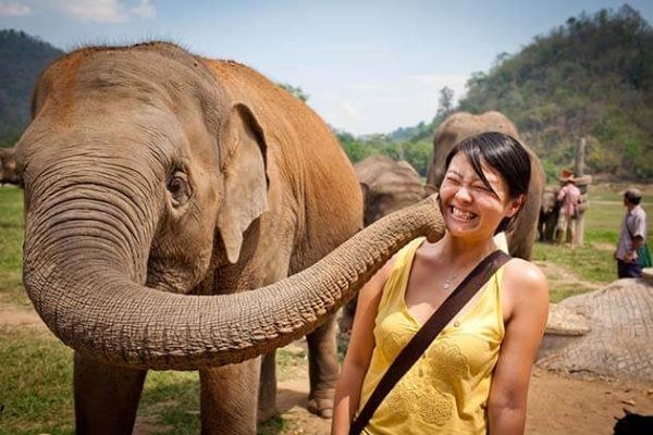 the Elephant Nature Park, Cambodia Thailand vacations