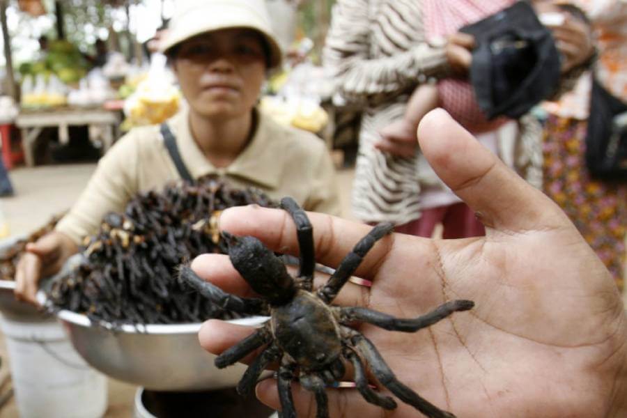 Spider Market in Cambodia