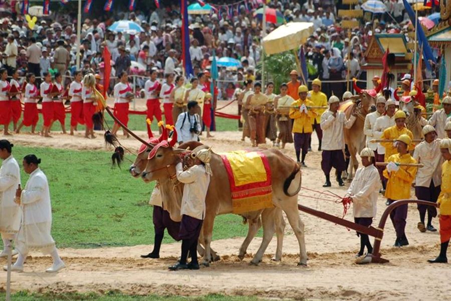 festivals in cambodia