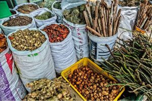 Traditional medicine in Cambodia - Cambodia tour packages