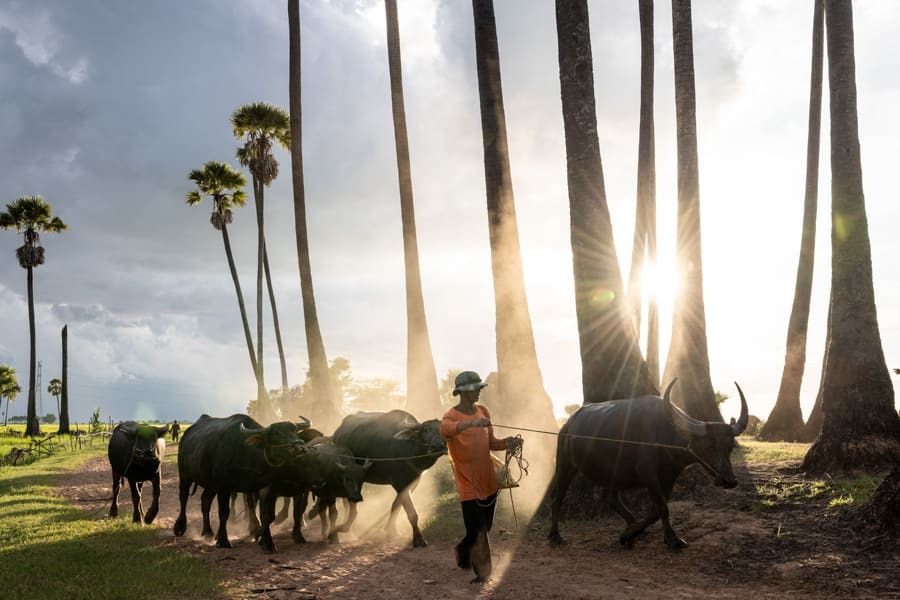 trips by travel agent in cambodia
