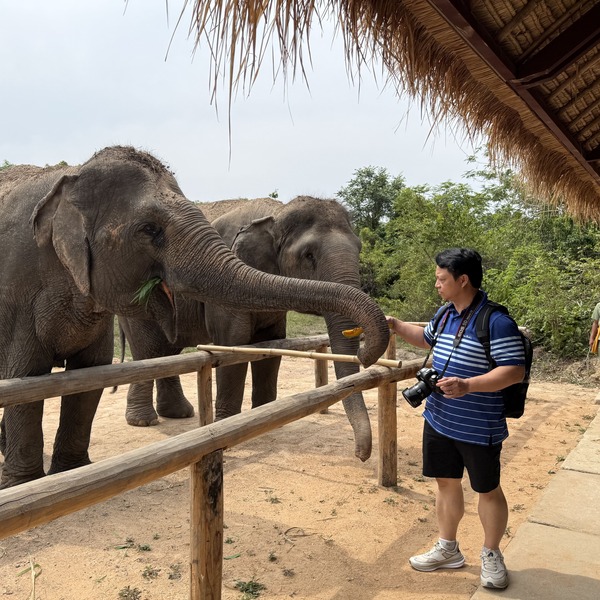 Siem Reap Tours & Day Trips