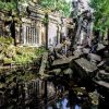 Cambodia nature tour